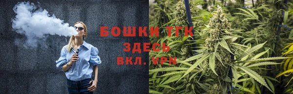 мдпв Няндома