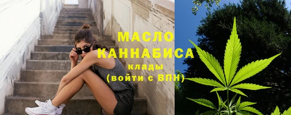 мдпв Няндома