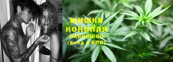 мдпв Няндома