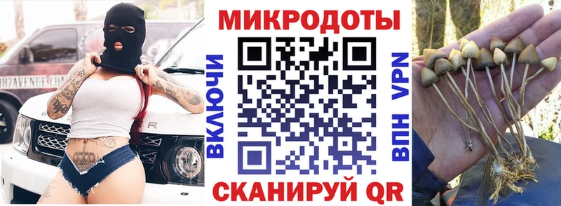 Галлюциногенные грибы прущие грибы  купить наркотики сайты  Выборг 