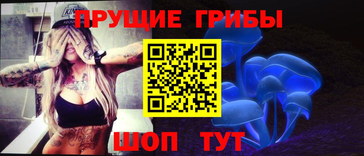 Галлюциногенные грибы Cubensis Выборг