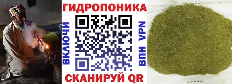 Бошки Шишки семена даркнет сайт Выборг